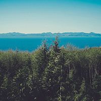 充满惊喜的cc攻击免费网页版